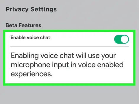 How to Get Voice Chat on Roblox