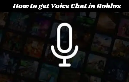 What You Need Before Using Voice Chat